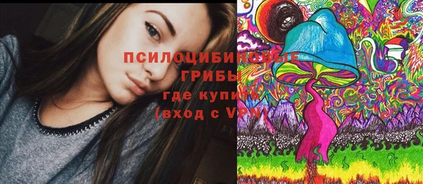 спиды Бронницы