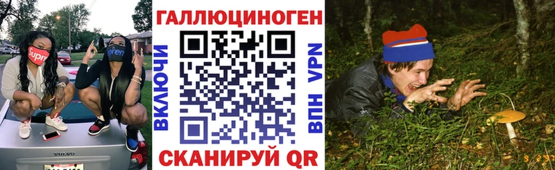 Псилоцибиновые грибы Psilocybine cubensis  Самара 